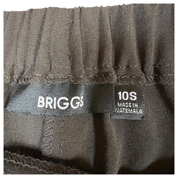 Briggs Women's Comfort Waistband Pull On Brown Slacks Dress Pants Size 10 Short - Picture 4 of 6